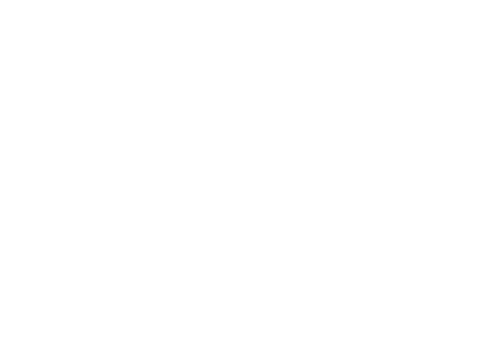 Bruser Logo